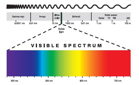 kurve tæppe Alfabetisk orden Infrared LEDs and IR LEDs | Tech-LED