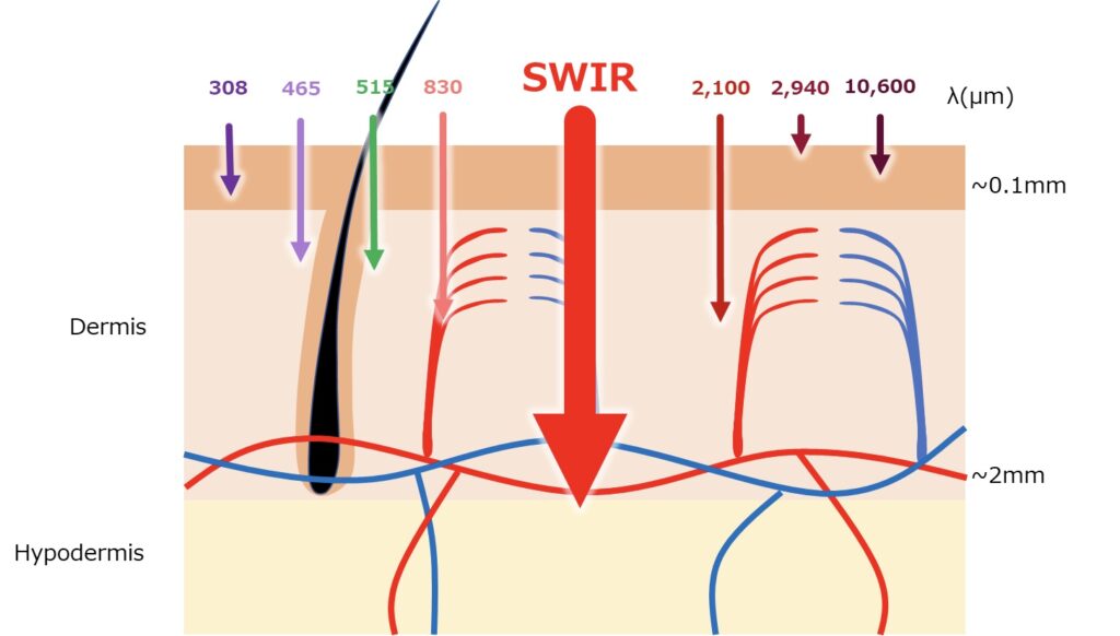 Diagram illustrating SWIR (Short-Wave Infrared) penetration into skin layers. Arrows of various colors and wavelengths show light penetration through the epidermis, dermis, and reach the hypodermis, with a focus on deep red SWIR at center.